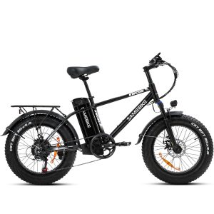 SAMEBIKE Elektrofahrrad XWC05 Fett Reifen E-bike 45km/h