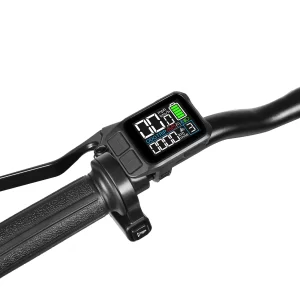 Farb-LCD ohne USB-Anschluss am SAMEBIKE CY20 Pro-FT