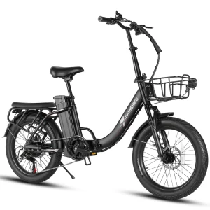SAMEBIKE CY20 Pro-FT in Schwarz, Dreiviertelansicht hinten