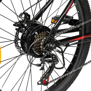 SAMEBIKE EBE2, Produktansicht 2