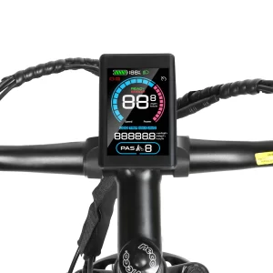 SAMEBIKE EBE2, Produktansicht 3