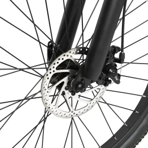 SAMEBIKE EBE2, Produktansicht 4