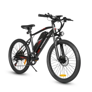 SAMEBIKE EBE2, Produktansicht 5