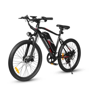 SAMEBIKE EBE2, Produktansicht 6