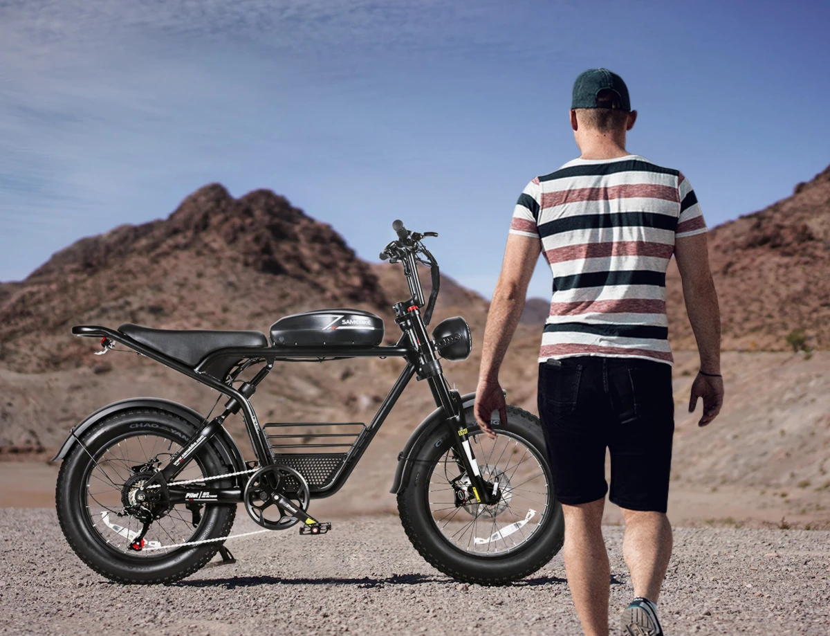 SAMEBIKE M20-III, Detailaufnahme 2