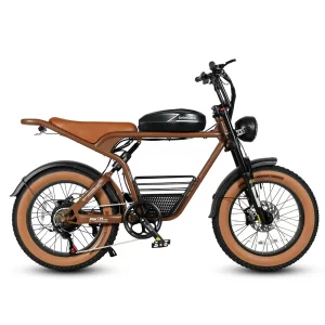SAMEBIKE M20 in Braun, Seitenansicht