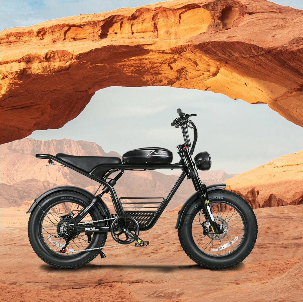 SAMEBIKE M20, Detailaufnahme 1