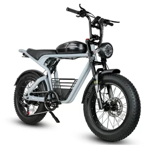 SAMEBIKE M20, Produktansicht 1