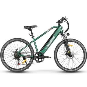SAMEBIKE RS-A01 Men 1.0 in Grün, Seitenansicht