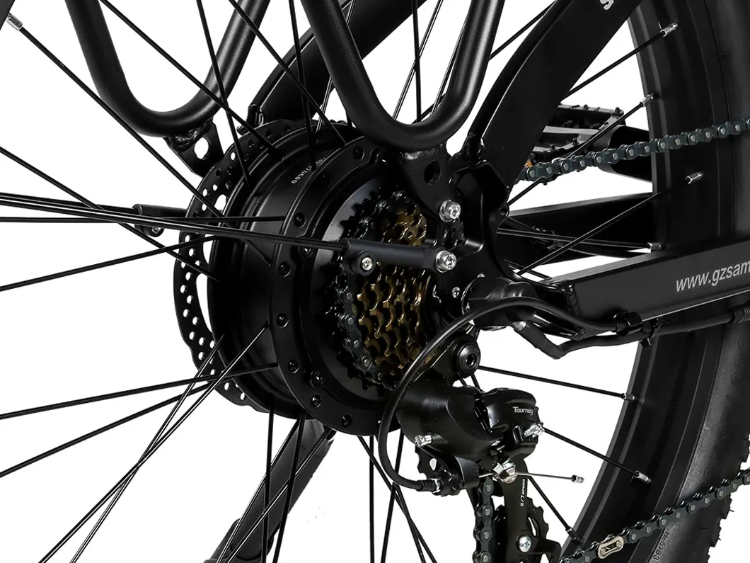 SAMEBIKE RS-A01 Plus, Detailaufnahme 1