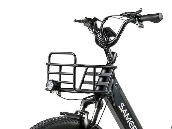 SAMEBIKE RS-A01 Plus, Detailaufnahme 2