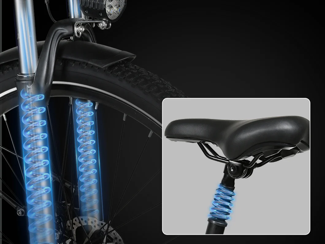 SAMEBIKE RS-A01 Plus, Detailaufnahme 3