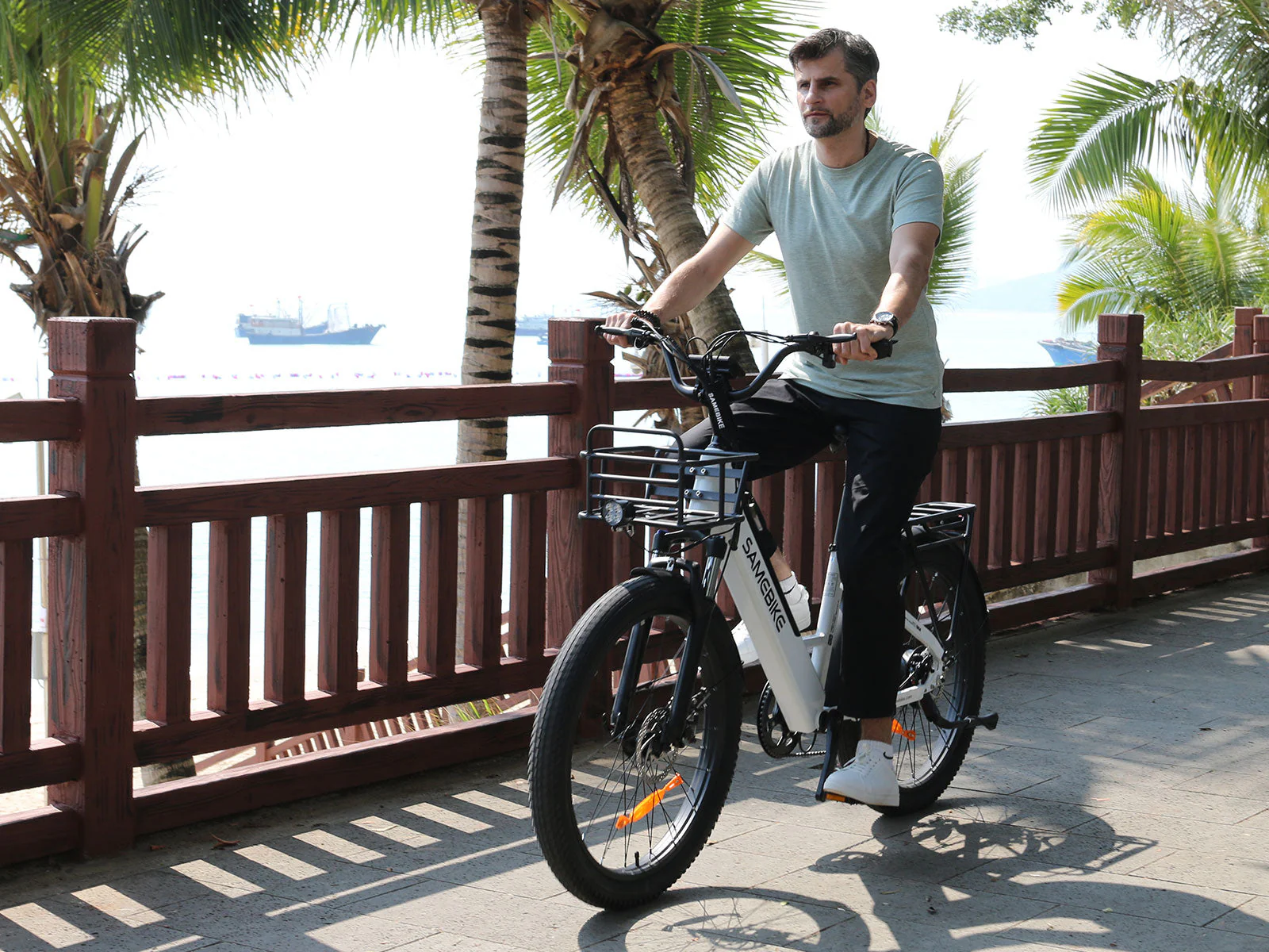 SAMEBIKE RS-A01 Plus, Detailaufnahme 4