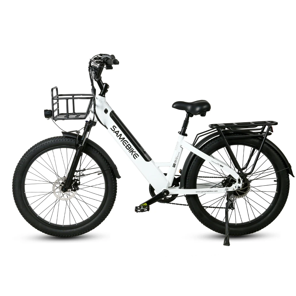 SAMEBIKE RS-A01 Plus, Produktansicht 1