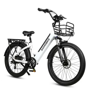 SAMEBIKE RS-A01 Plus, Produktansicht 2