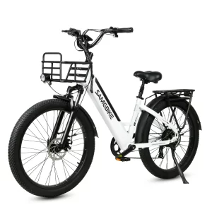 SAMEBIKE RS-A01 Plus, Produktansicht 3