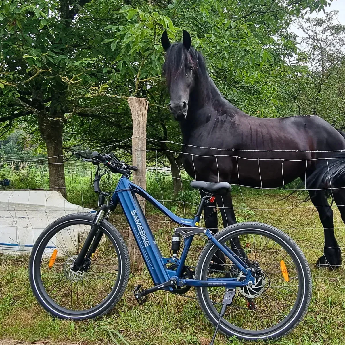 SAMEBIKE XD26-II, Detailaufnahme 3